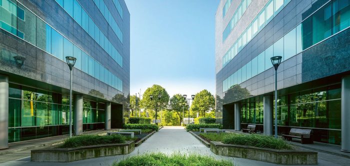 Rubens complex graydon