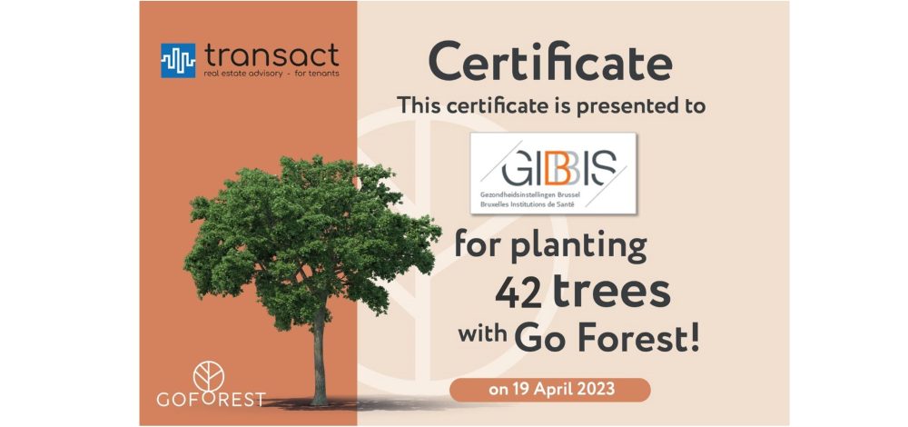 Certificate GO FOREST GIBBIS 2023